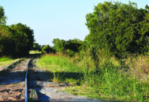 Joy Rails  Invites You To Come Out and Ride