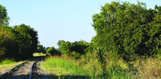 Joy Rails Invites You To Come Out and Ride